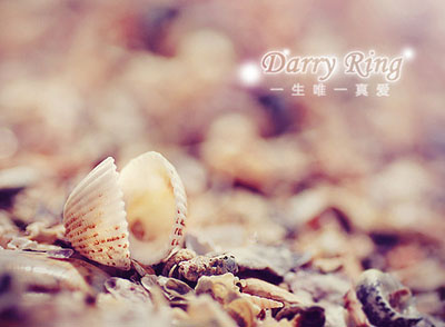 一辈子只能买一次的戒指